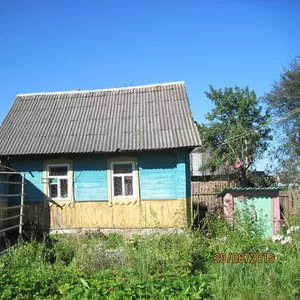продаю дом в деревне