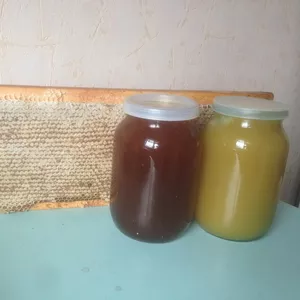 Мед натуральный,  прополис