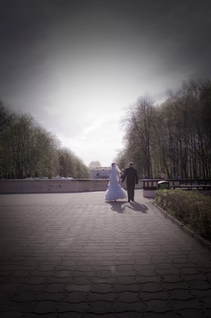 Фотография в Могилеве: свадебное фото,  портретная съемка 9