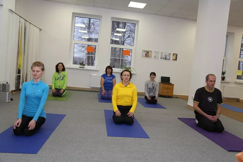 Йога для начинающих,  групповые и индивидуальные занятия.